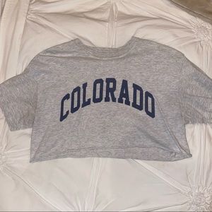 Brandy Melville Colorado Crop Tee